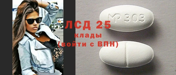 PSILOCYBIN Алзамай