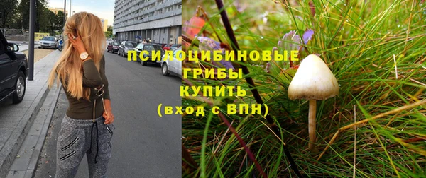 амф Алексеевка