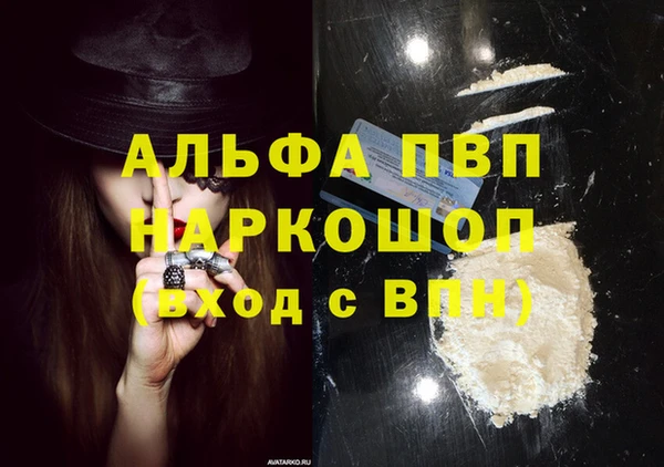 PSILOCYBIN Кинешма