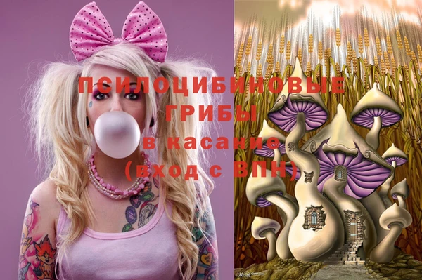 ПСИЛОЦИБИНОВЫЕ ГРИБЫ Киреевск
