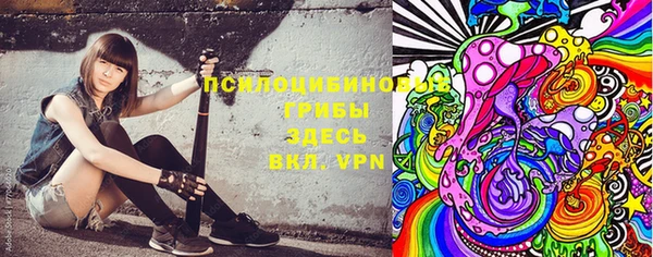 PSILOCYBIN Алзамай