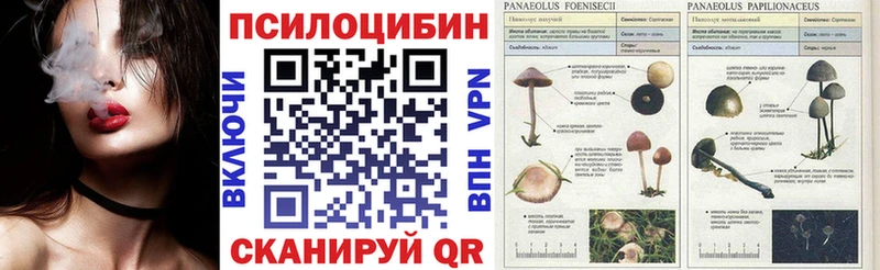 Галлюциногенные грибы мухоморы цена наркотик Куса